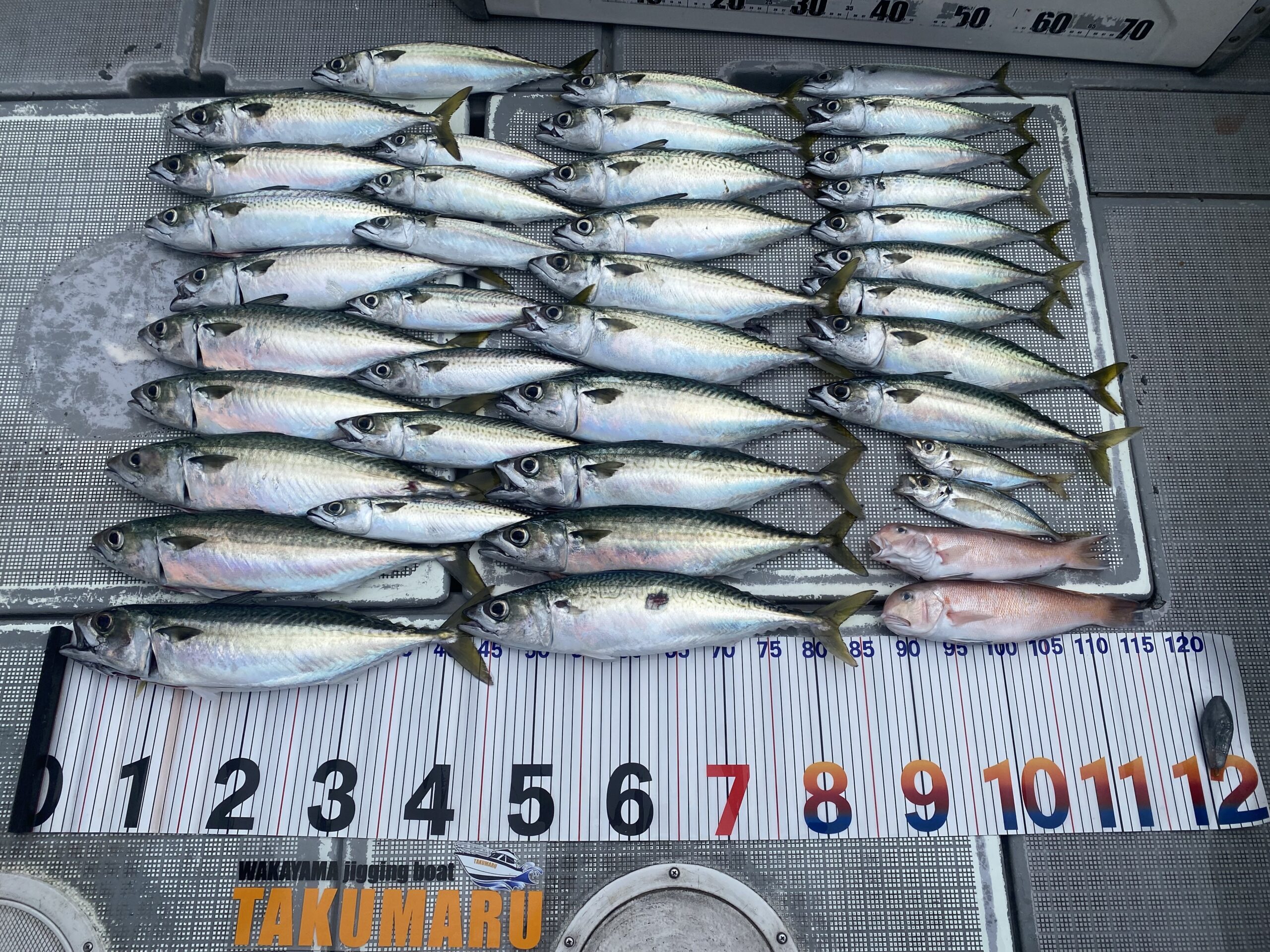 2025年6月7日 中潮