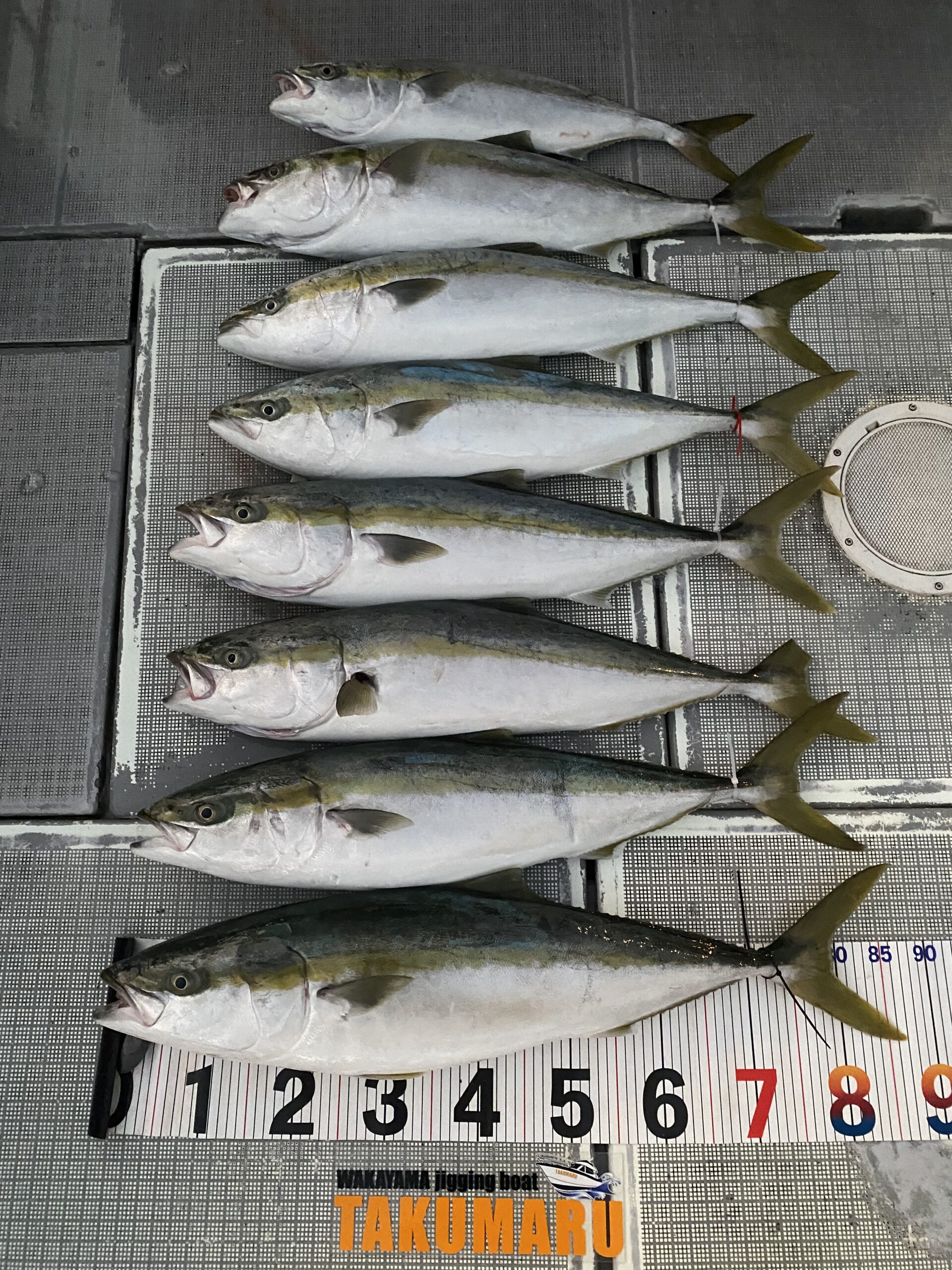 2025年10月27日 小潮