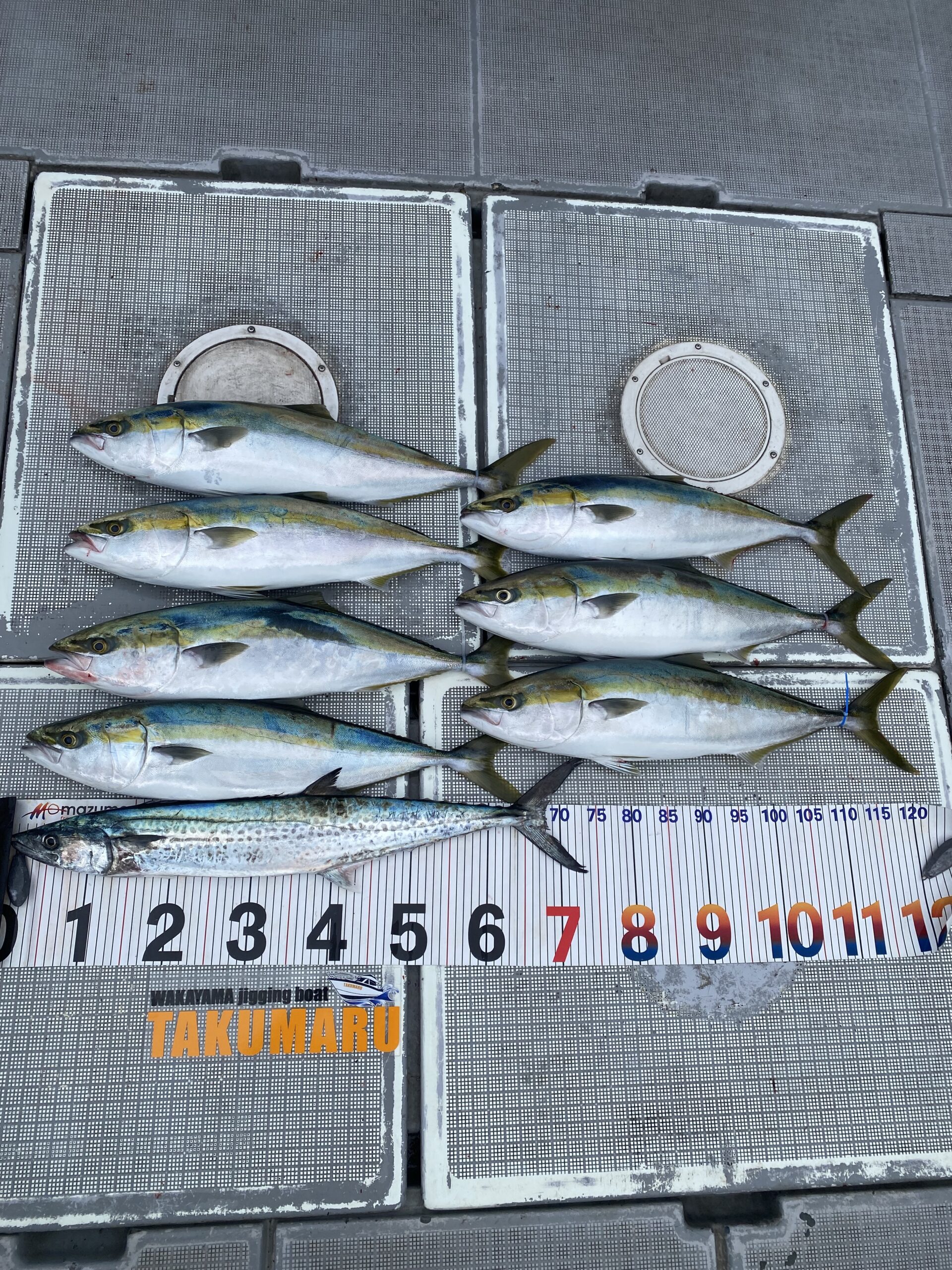 2025年11月5日🌕大潮