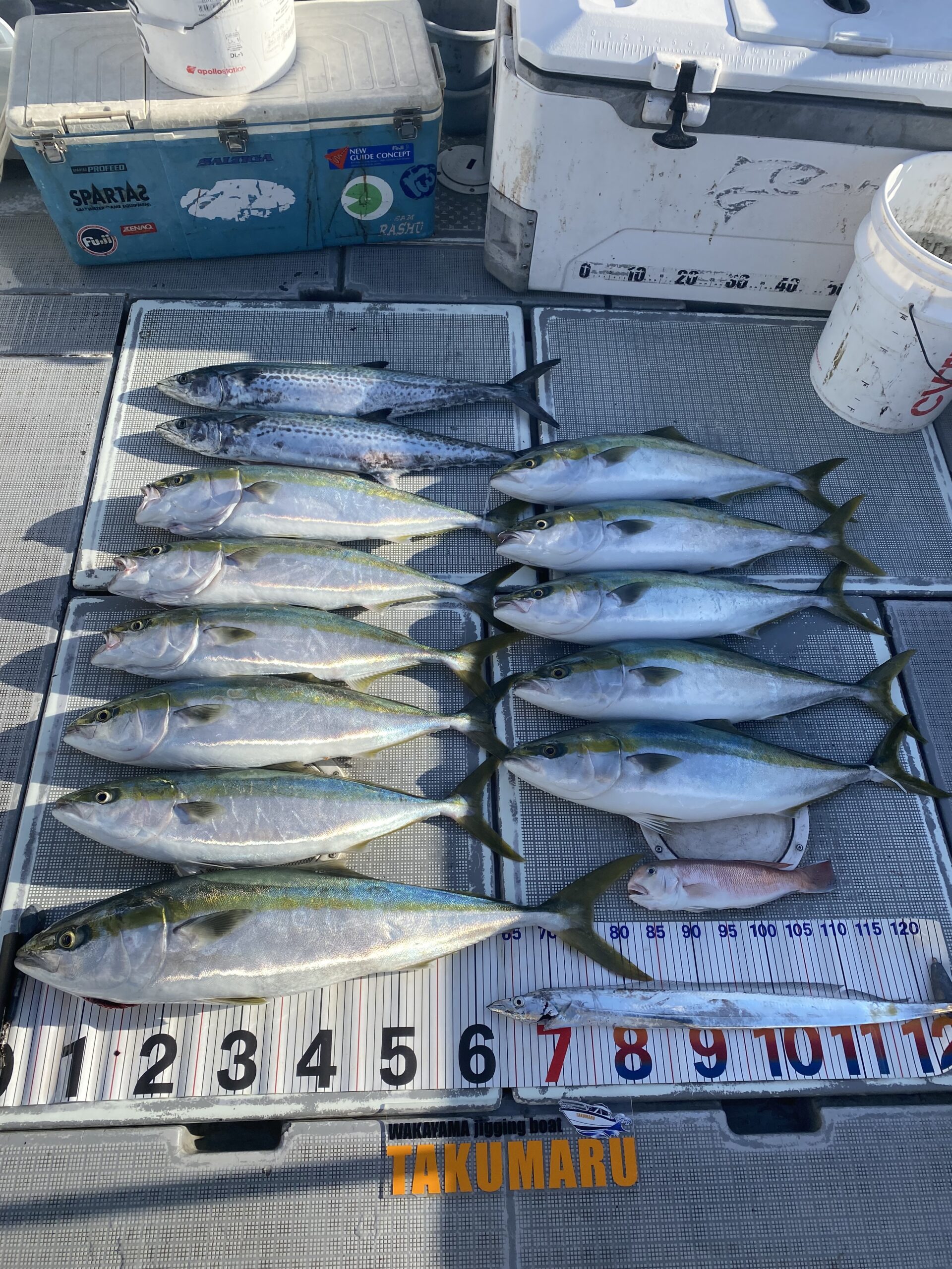 2025年11月11日 小潮