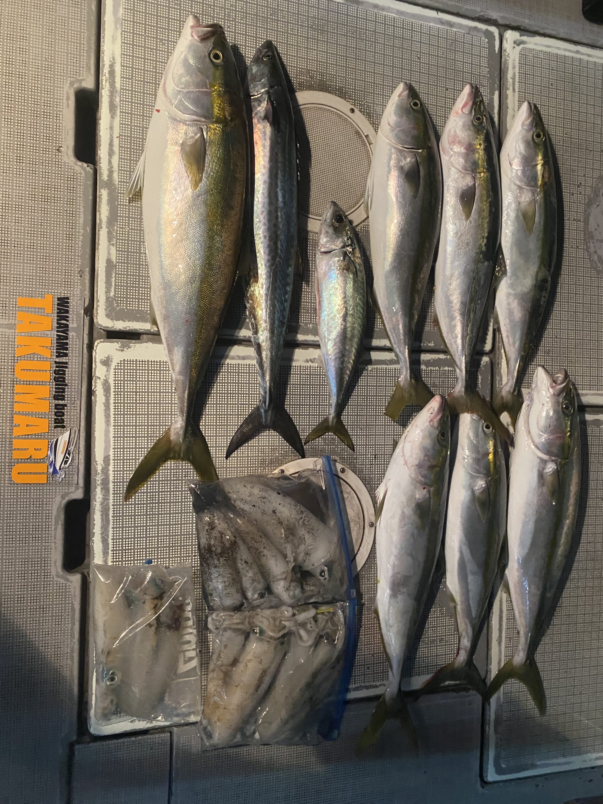 2025年11月13日 小潮