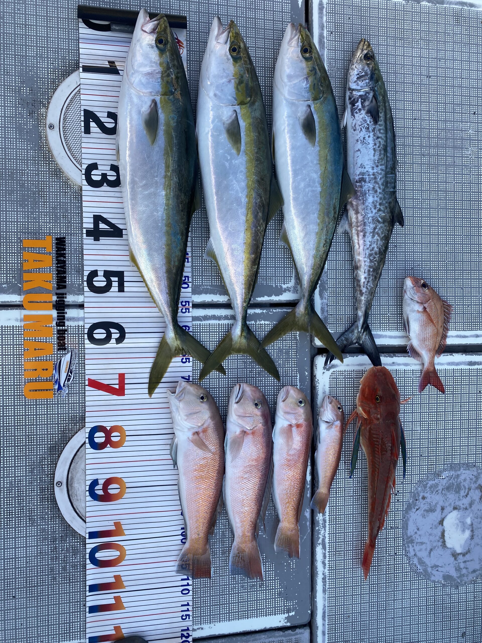 2025年11月25日 中潮