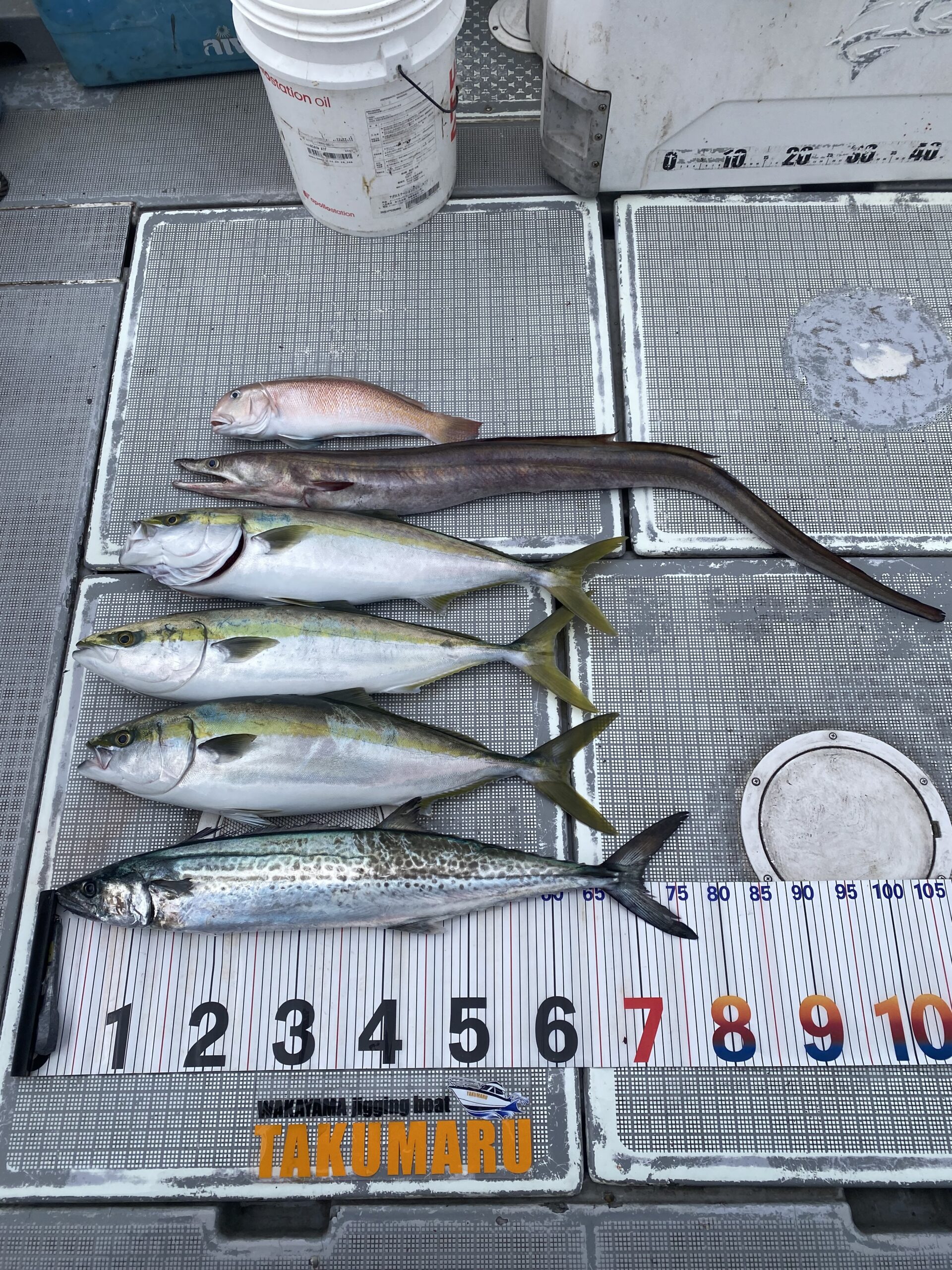 2025年11月28日 小潮