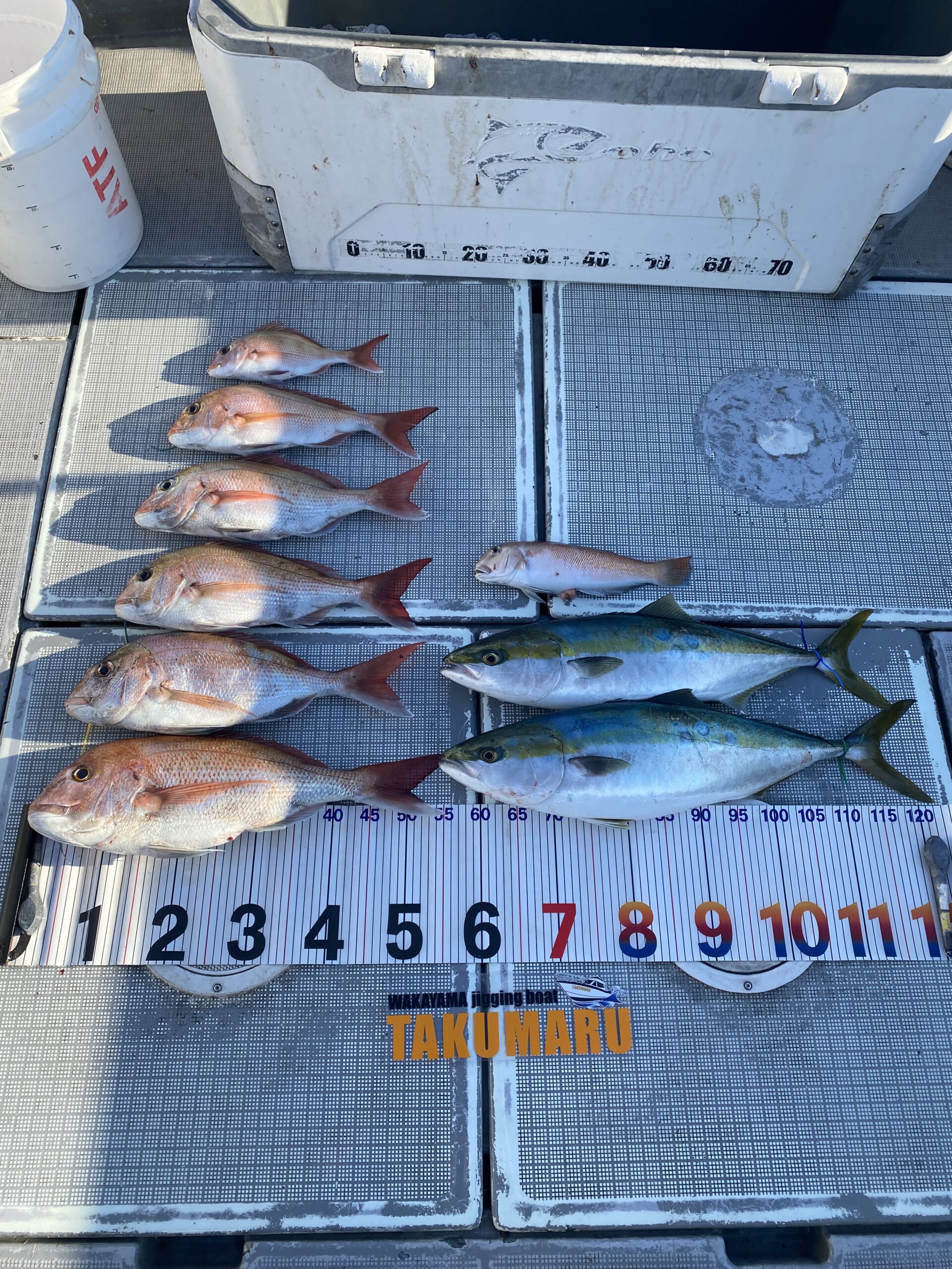 2025年12月6日 大潮