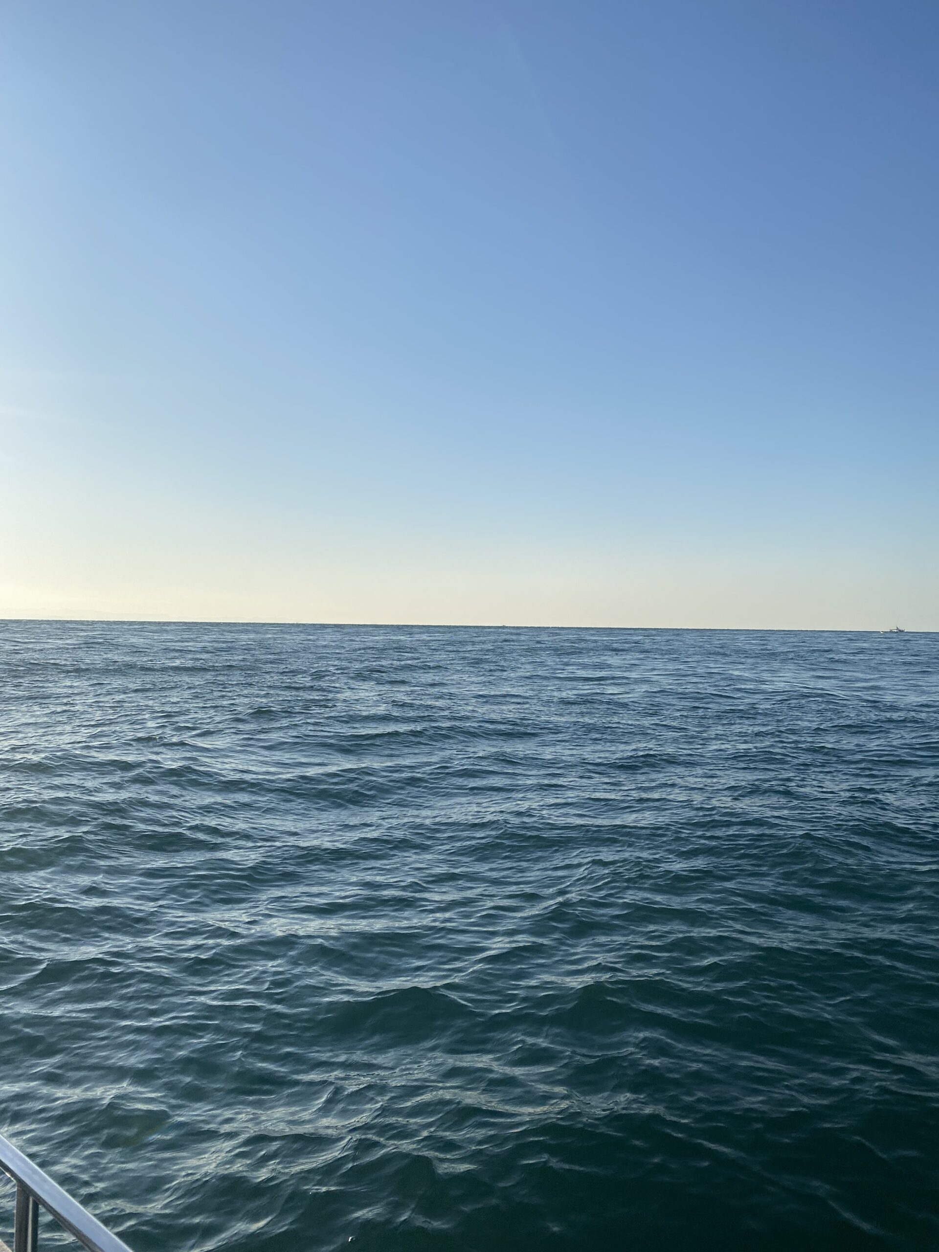 2025年12月7日 中潮