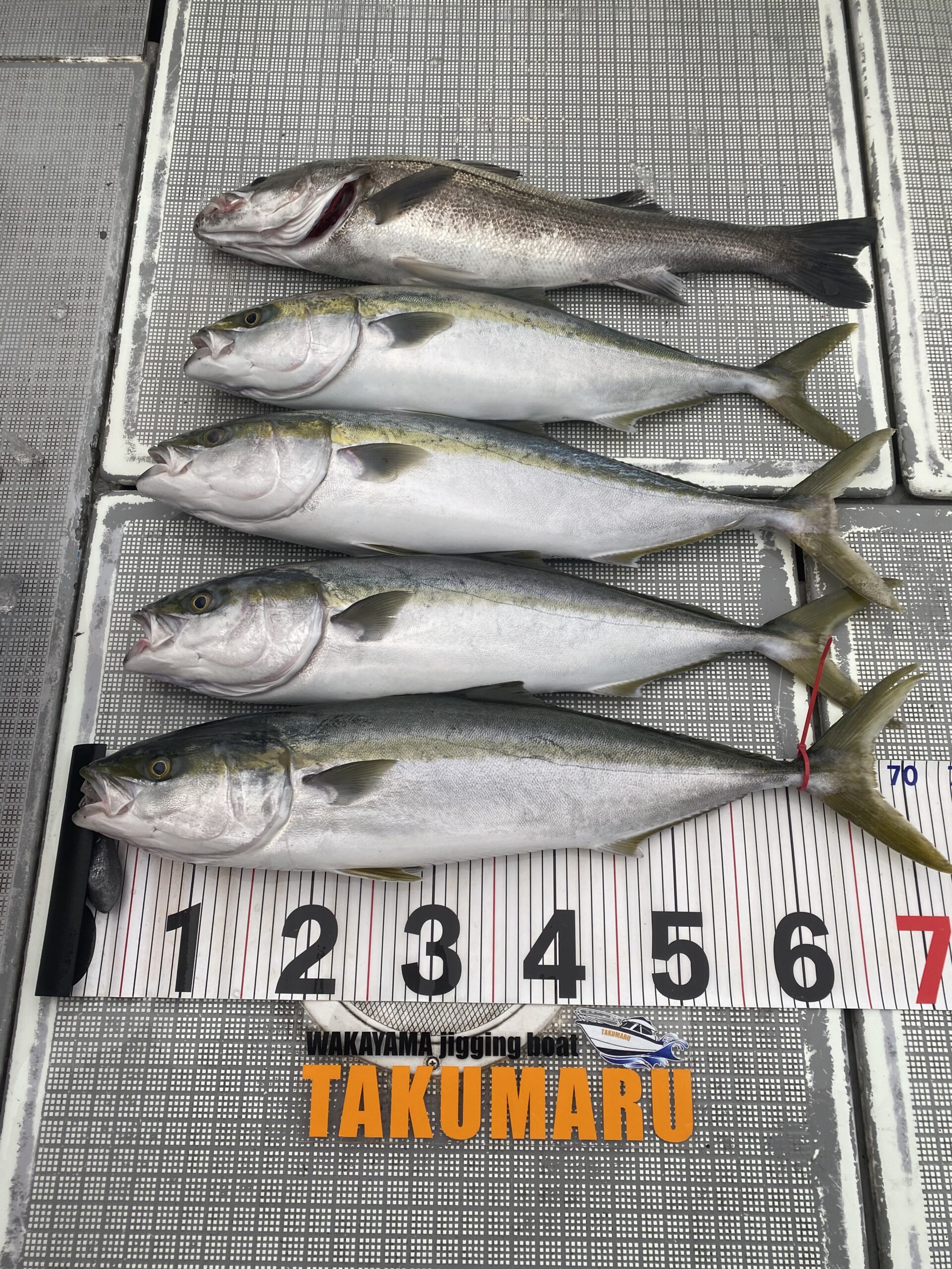 2025年12月17日 中潮