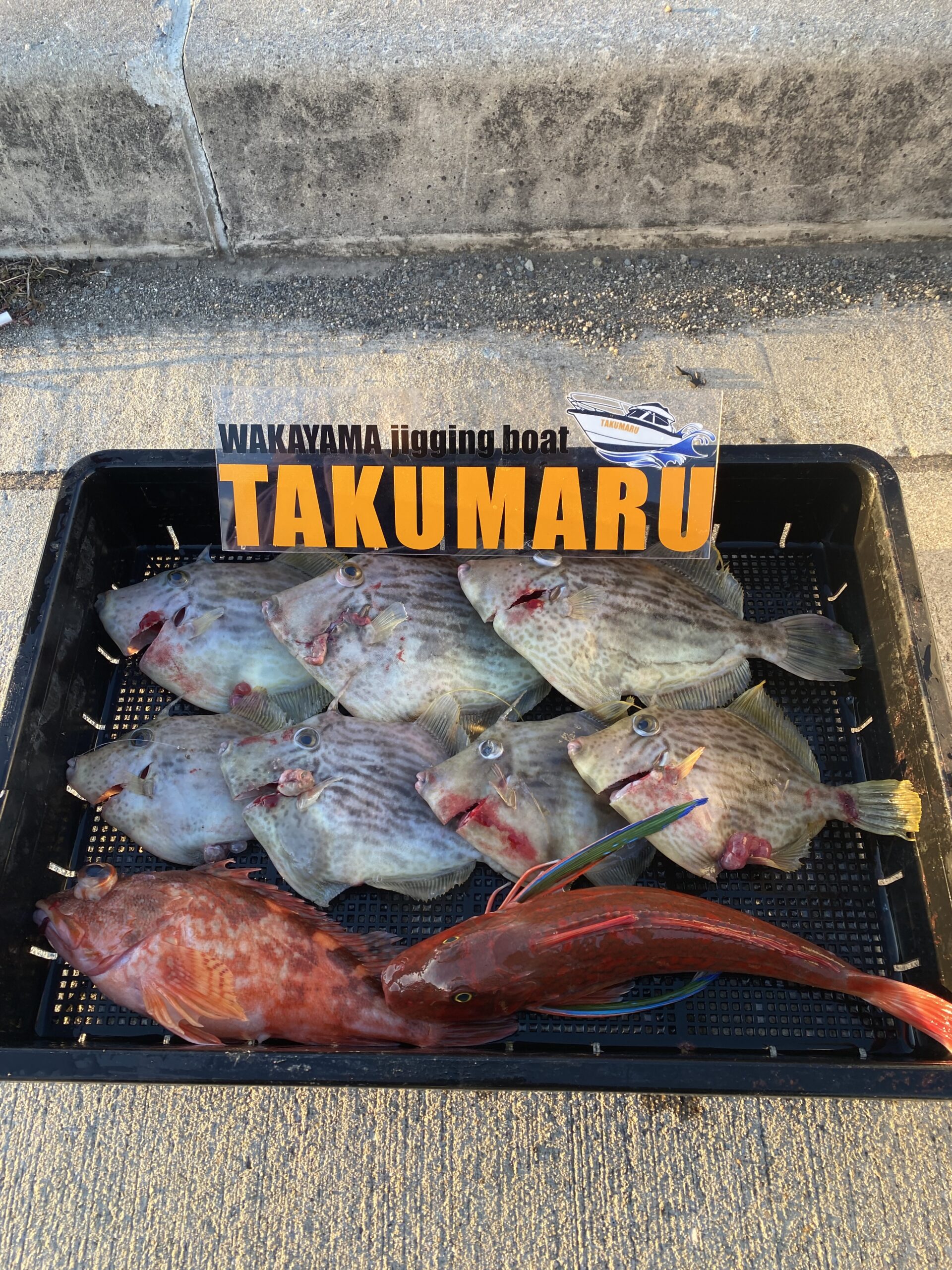 2025年12月18日 大潮