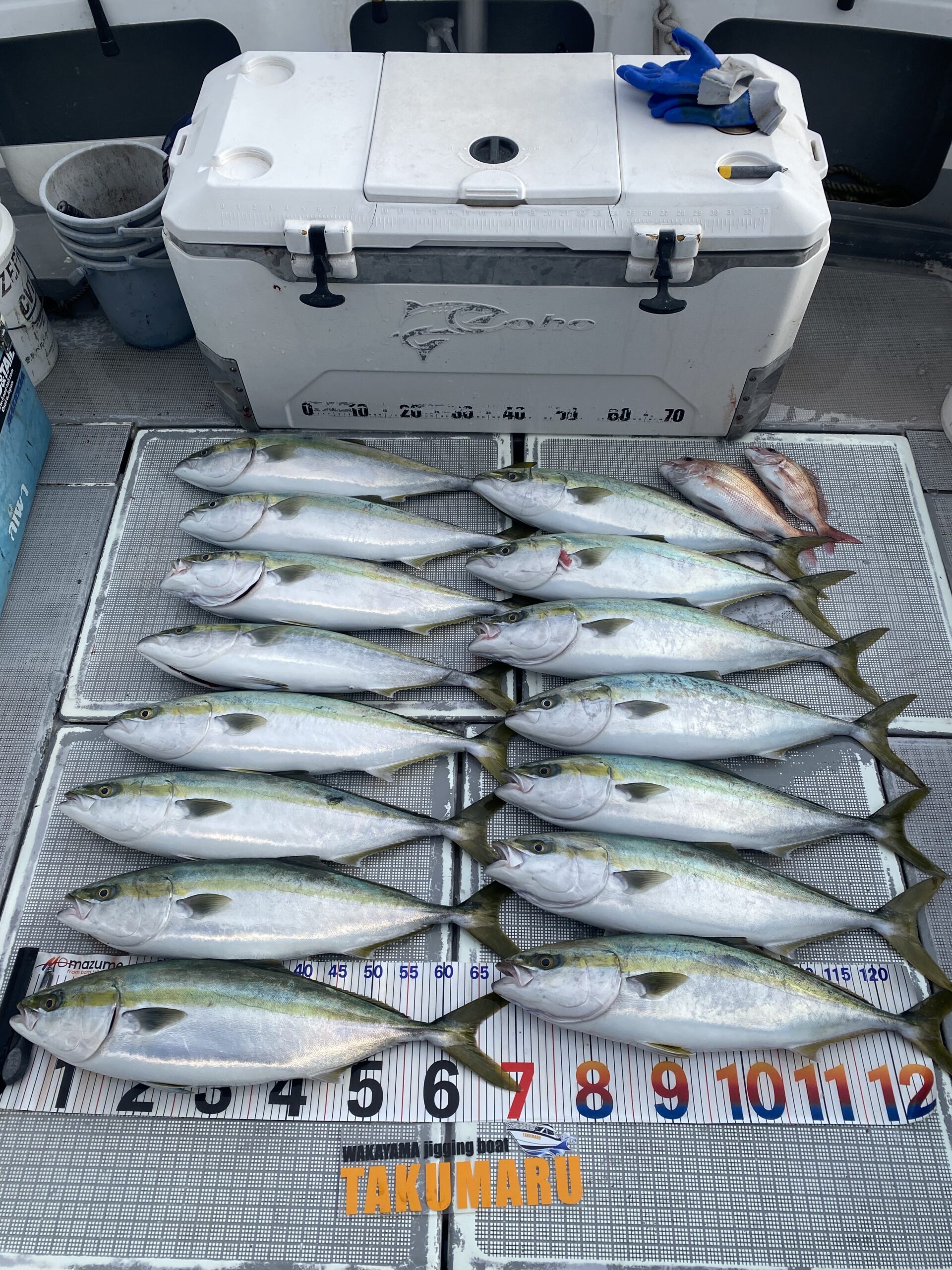 2025年12月27日 小潮