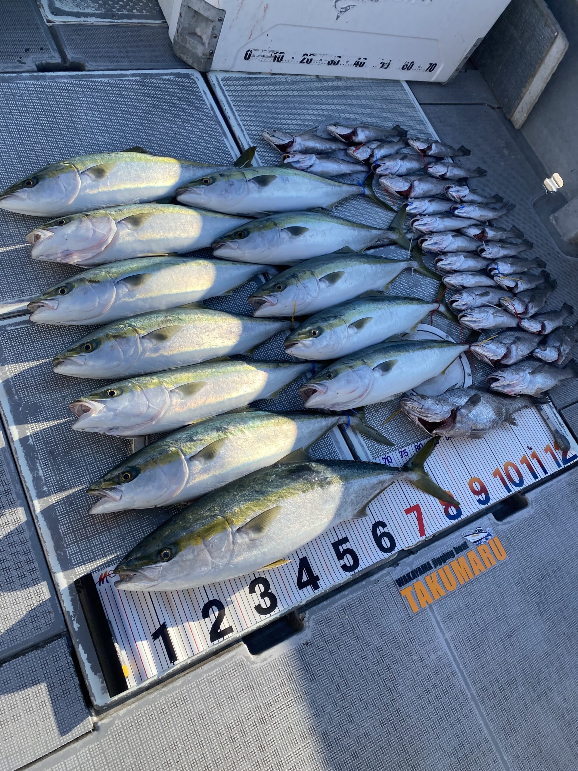 2025年12月28日 小潮