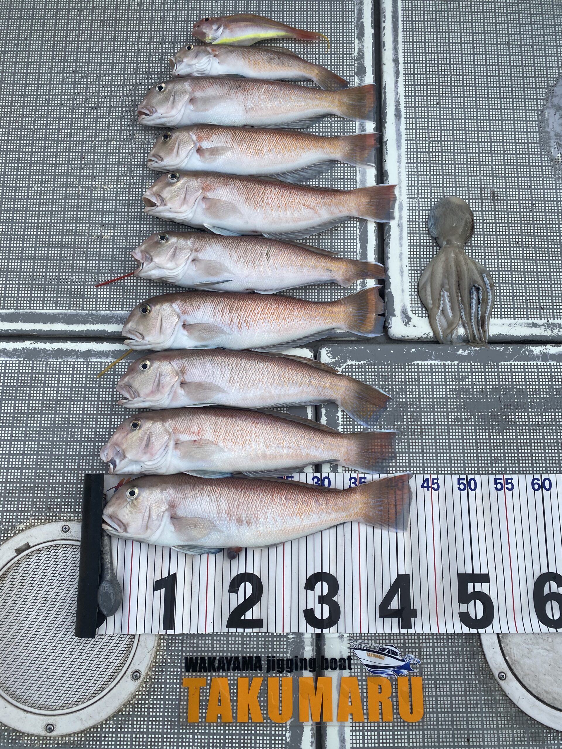 2025年12月30日 若潮