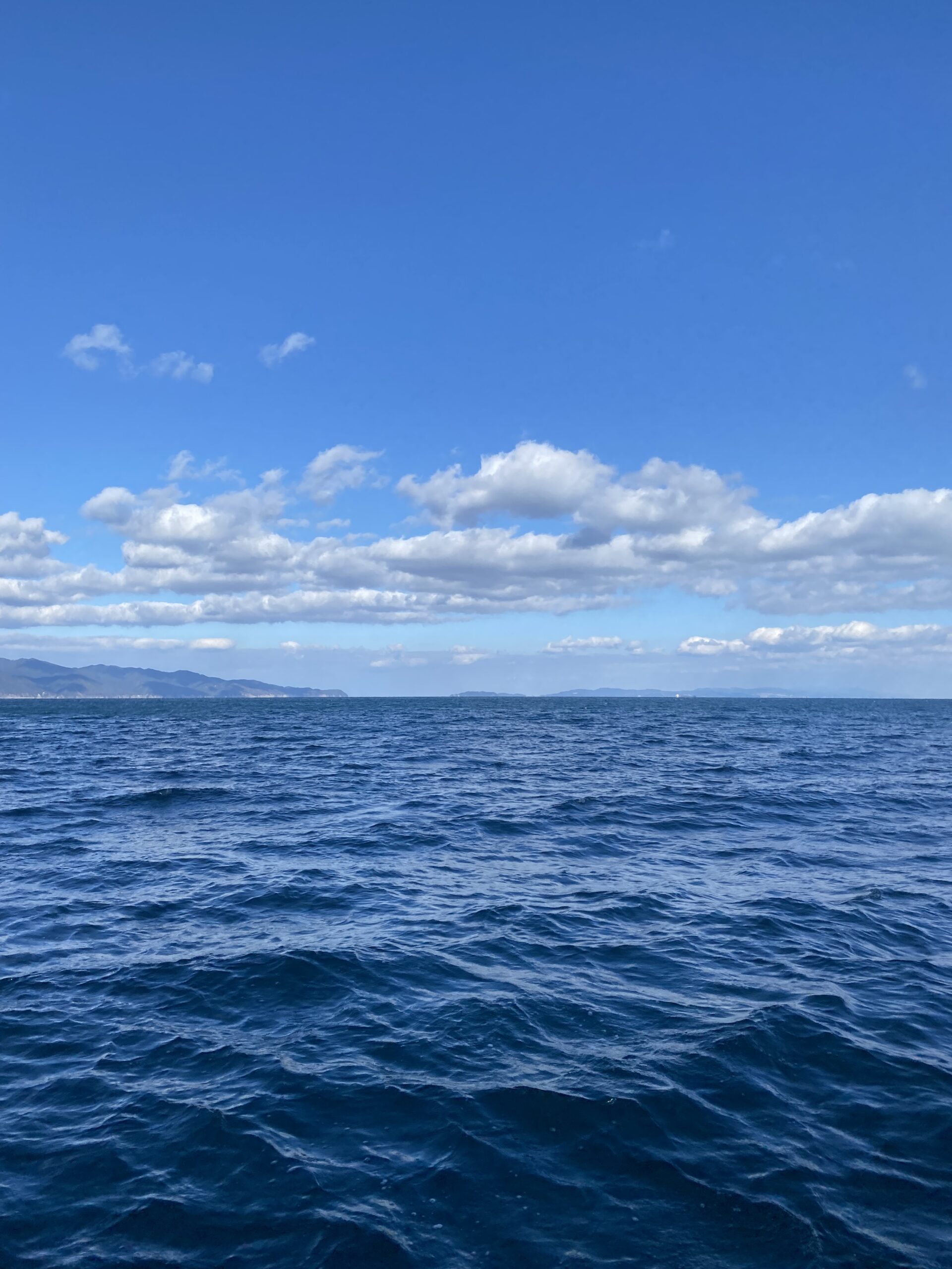 2026年2月3日 節分🌕