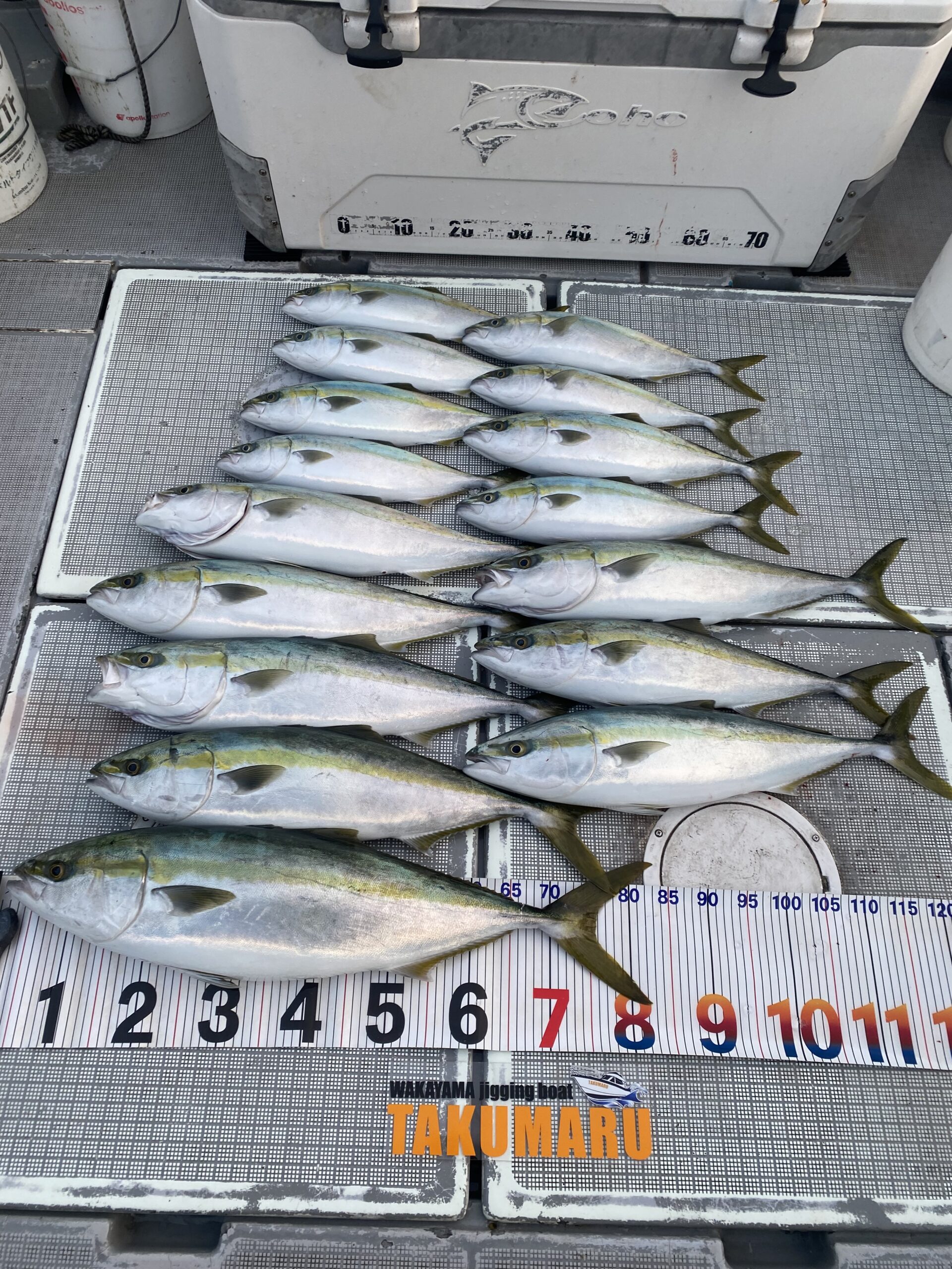 2026年2月7日 中潮🌙