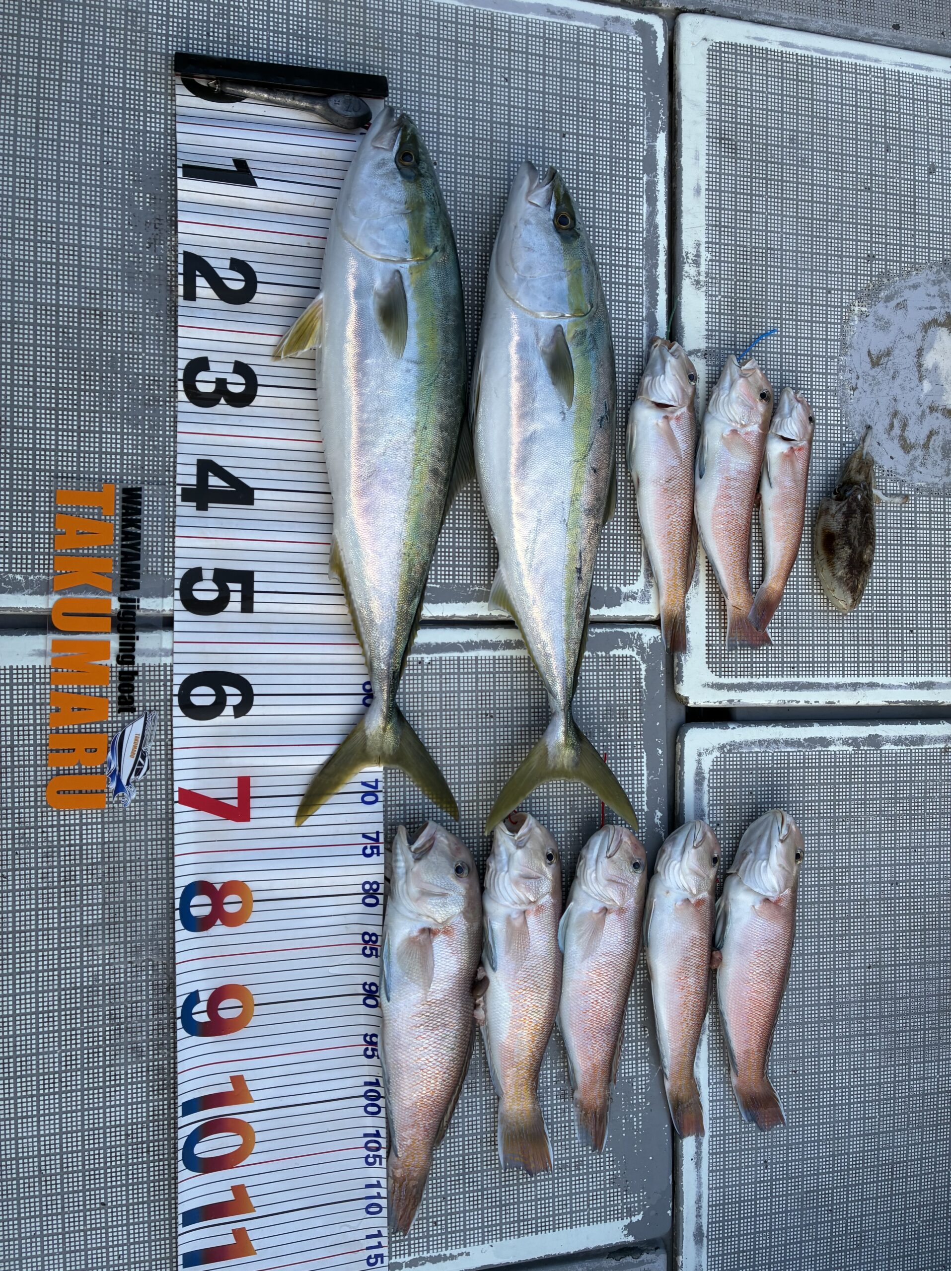 2025年2月14日 中潮