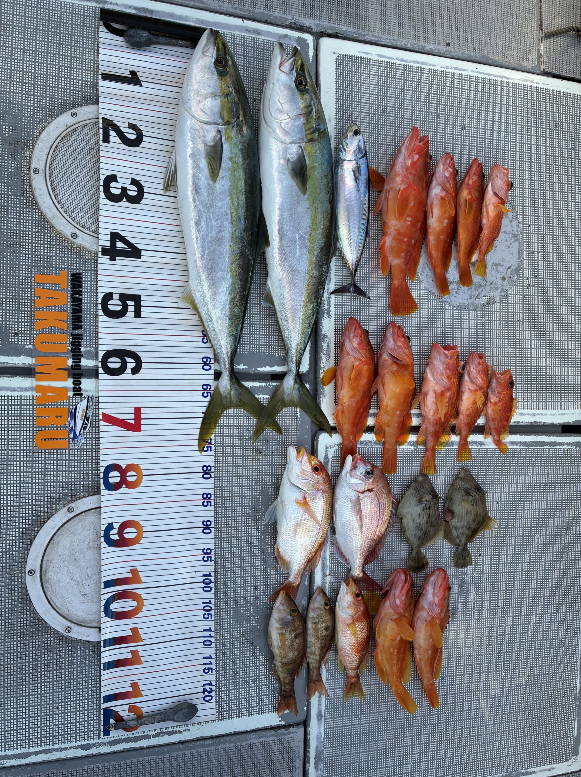 2026年2月20日 中潮