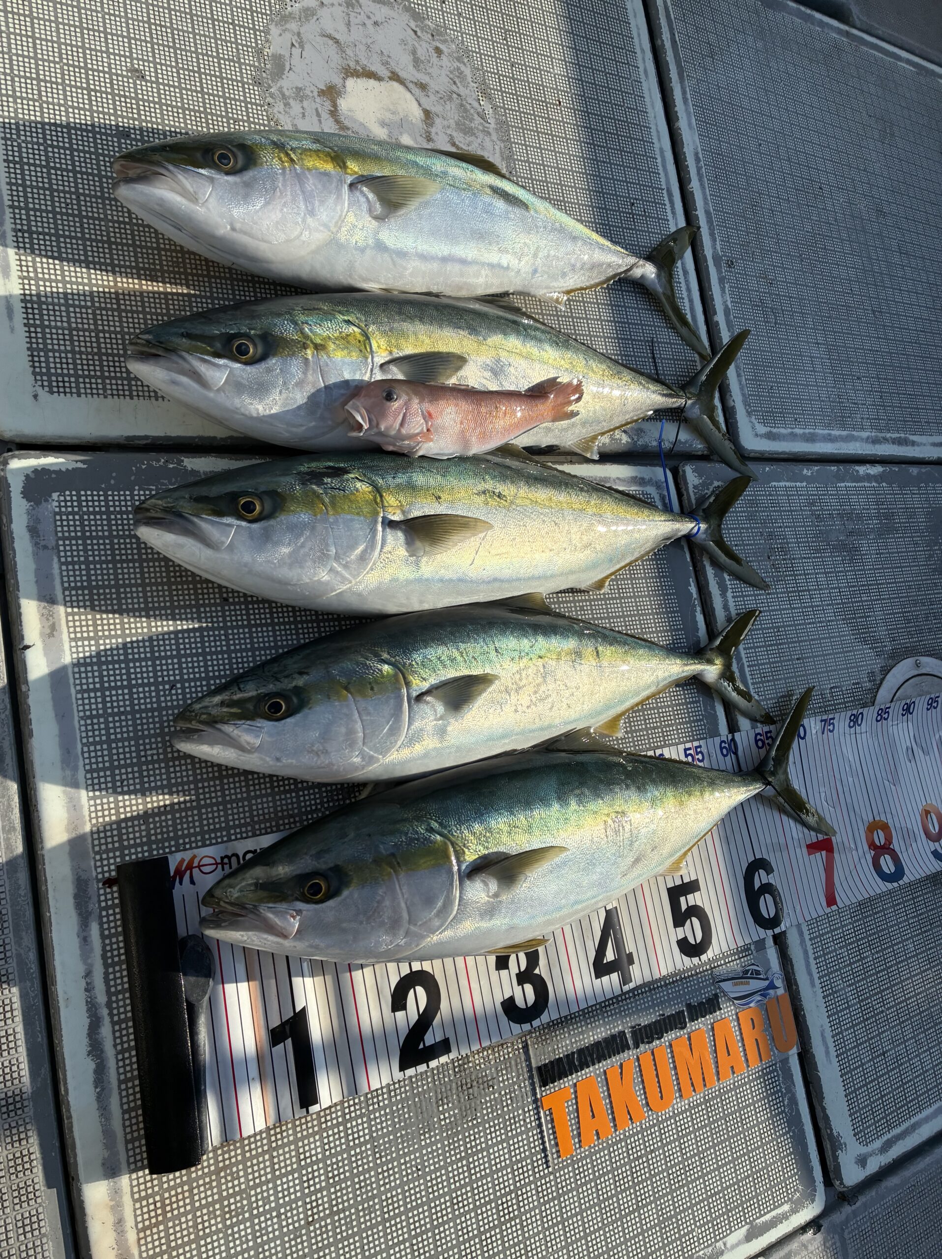 2026年2月21日 中潮