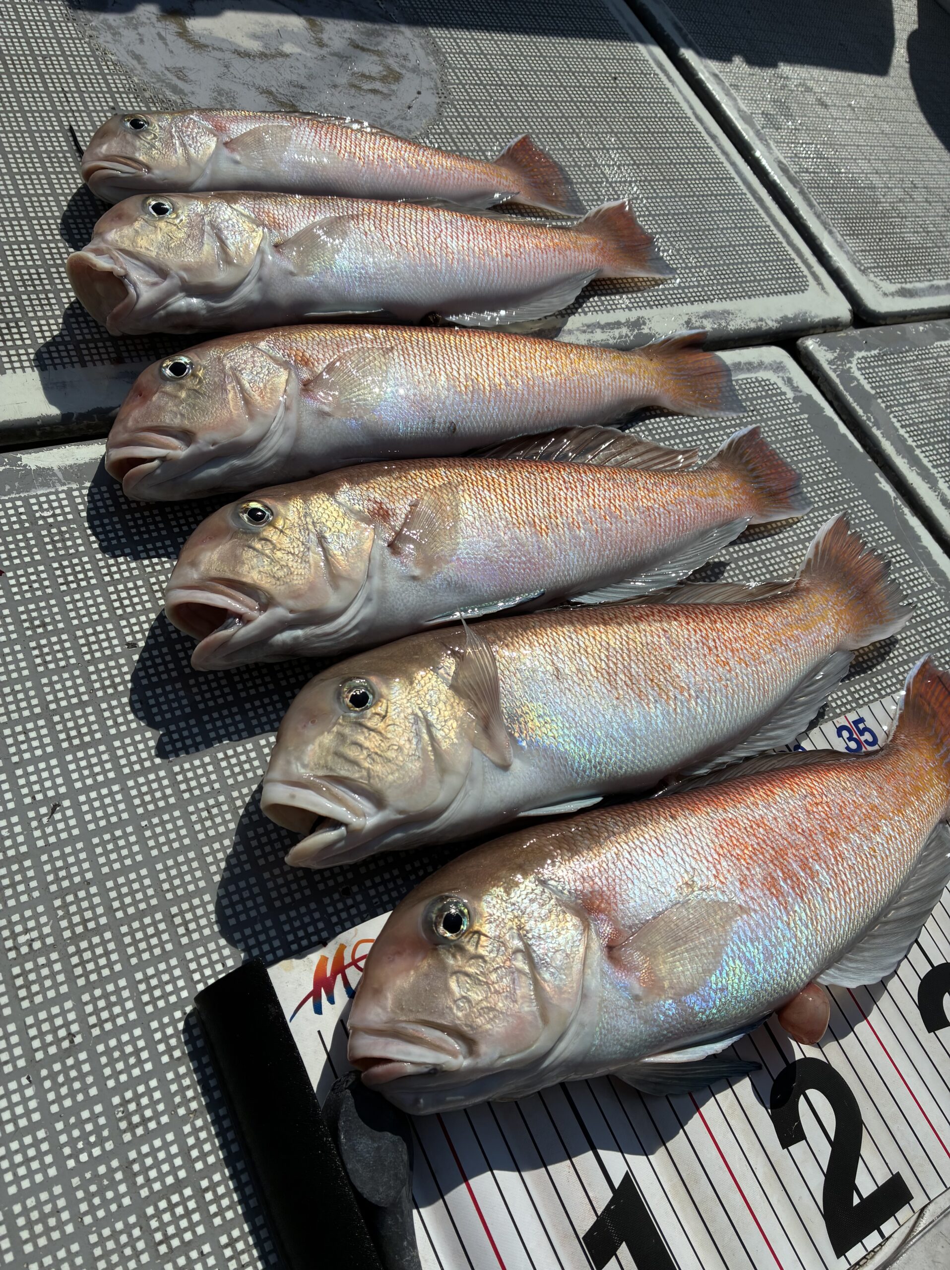 2026年2月22日 中潮