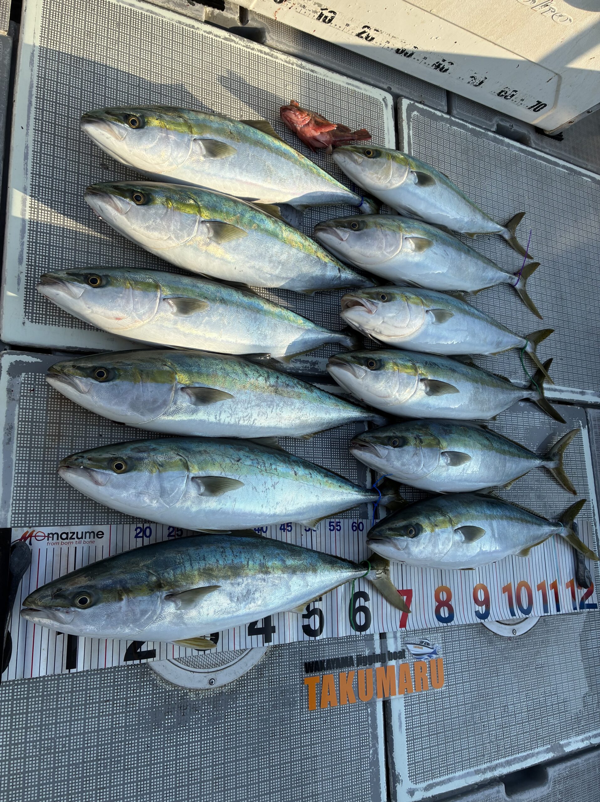 3月20日 春分の日