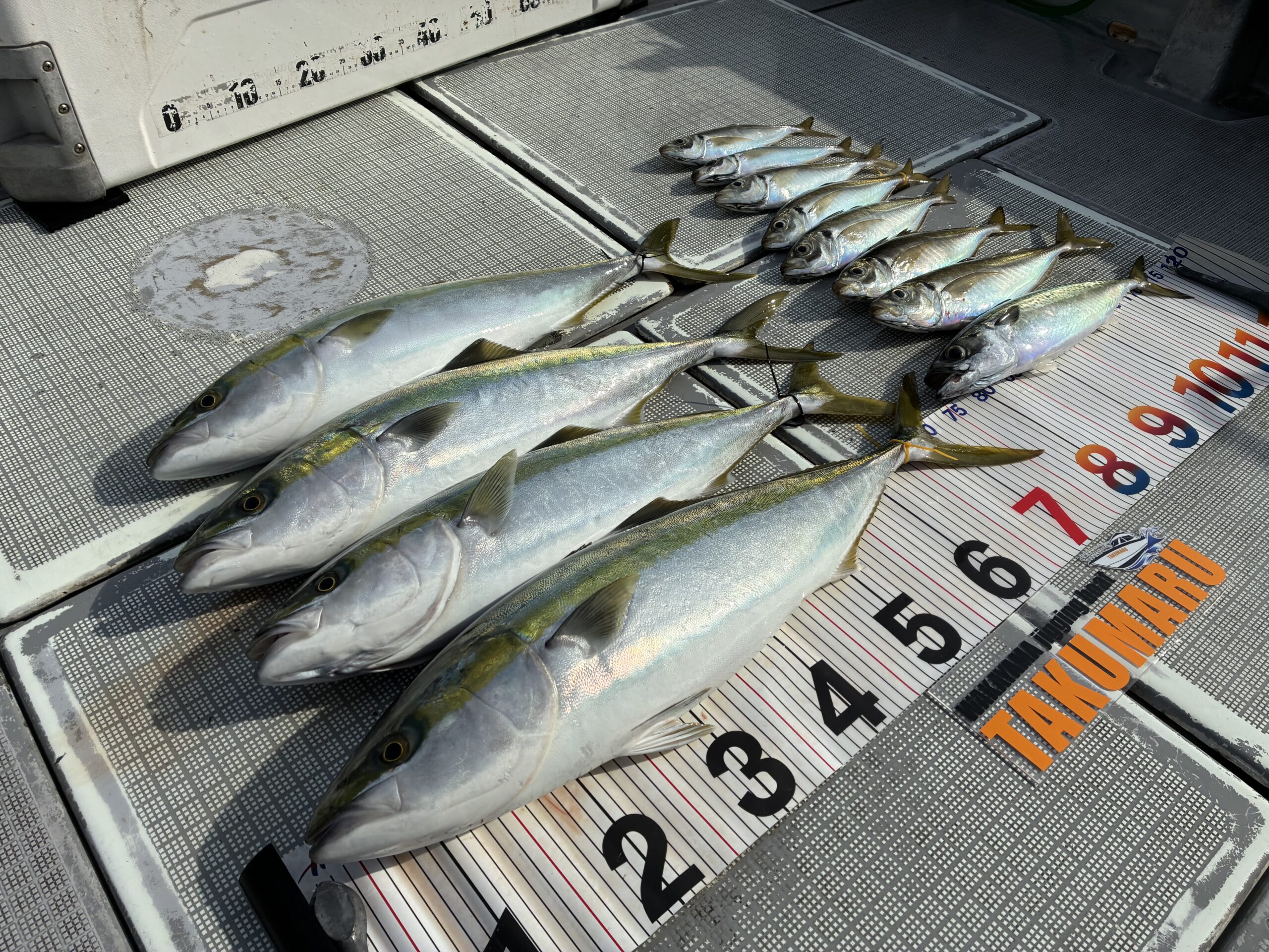 2026年4月3日 大潮