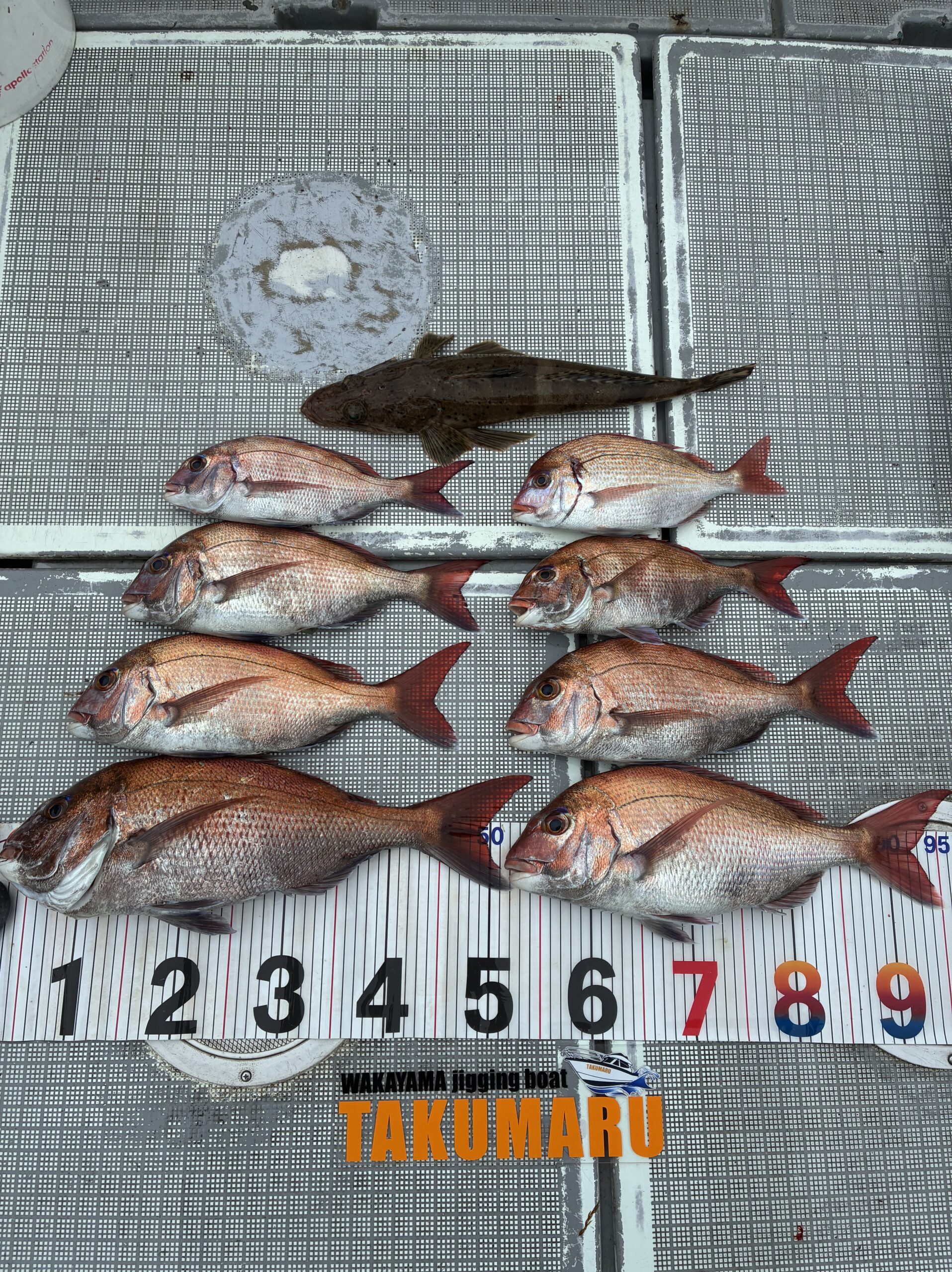 タイラバに挑戦❗️