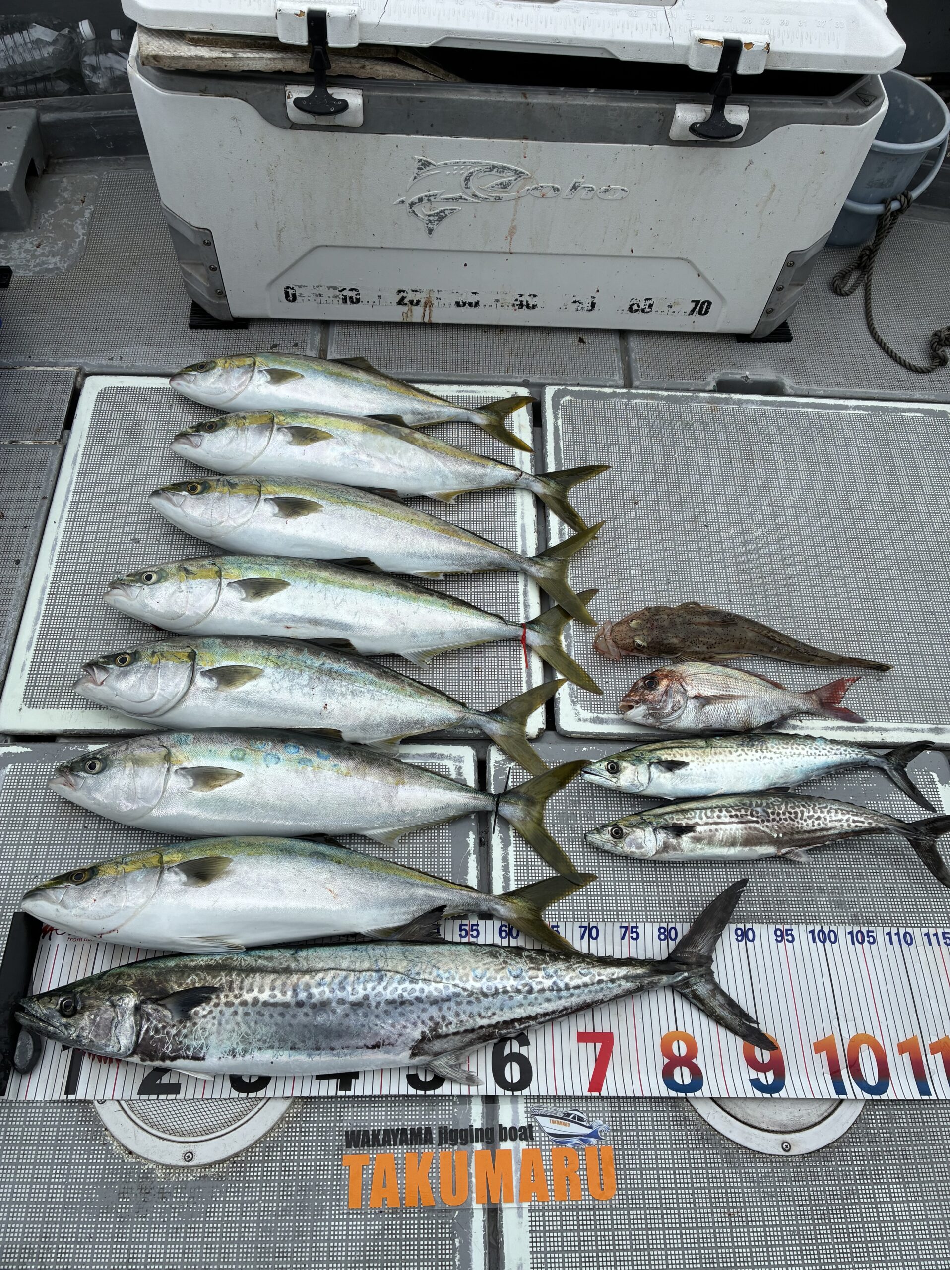 とても平和な日曜日