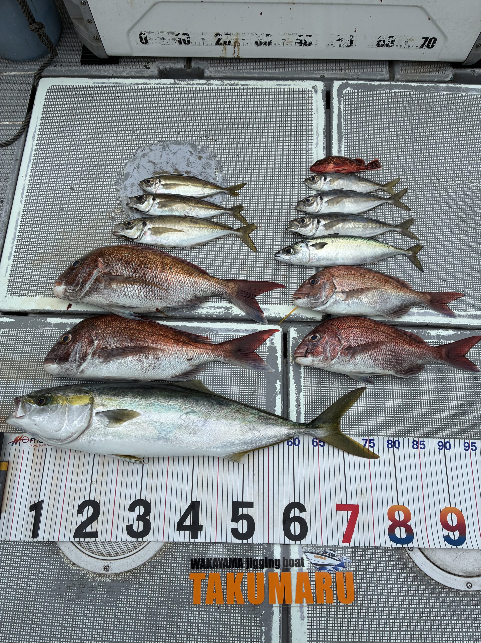 爽やかな月曜日