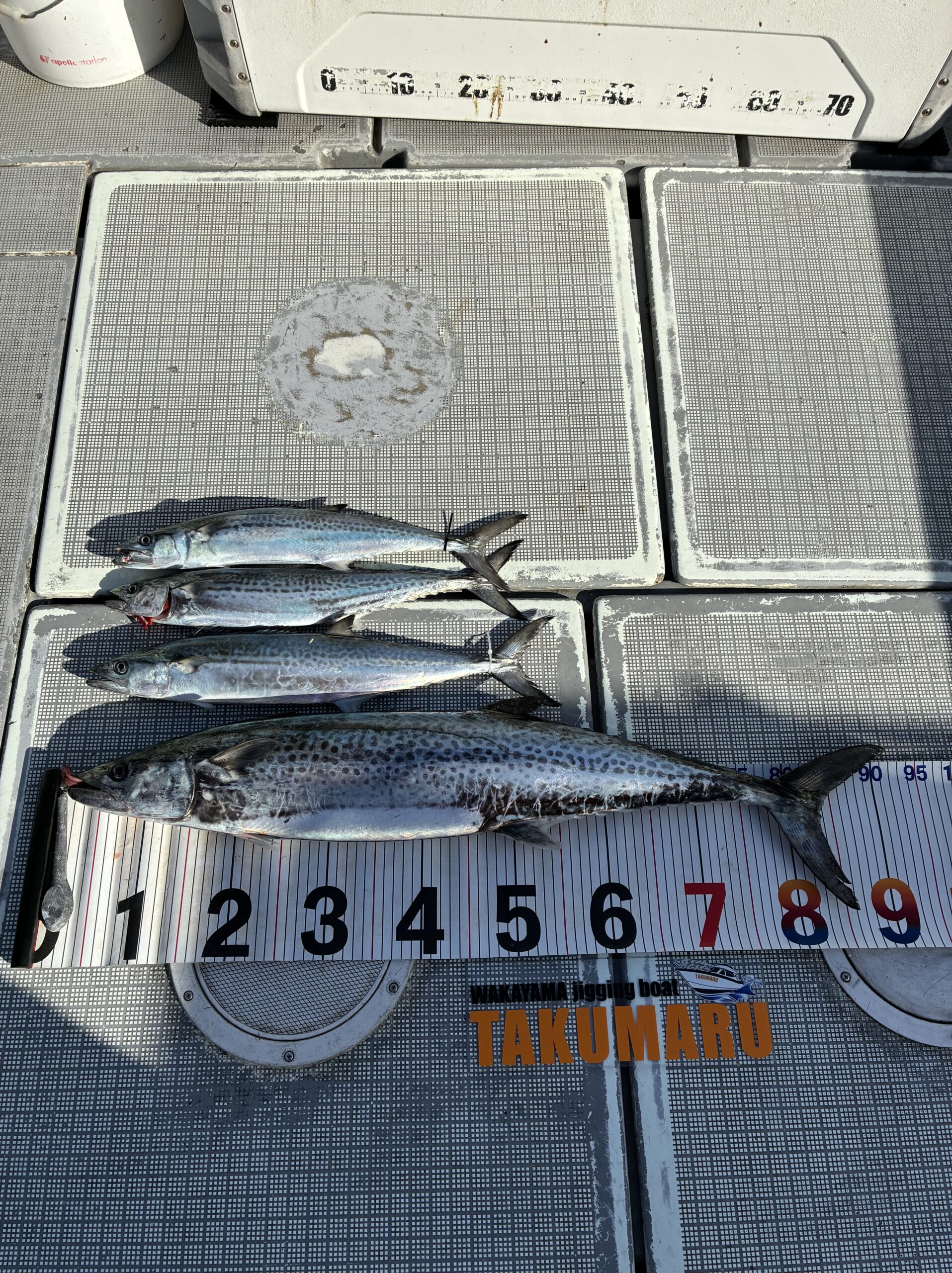 朝は強風で寒い火曜日