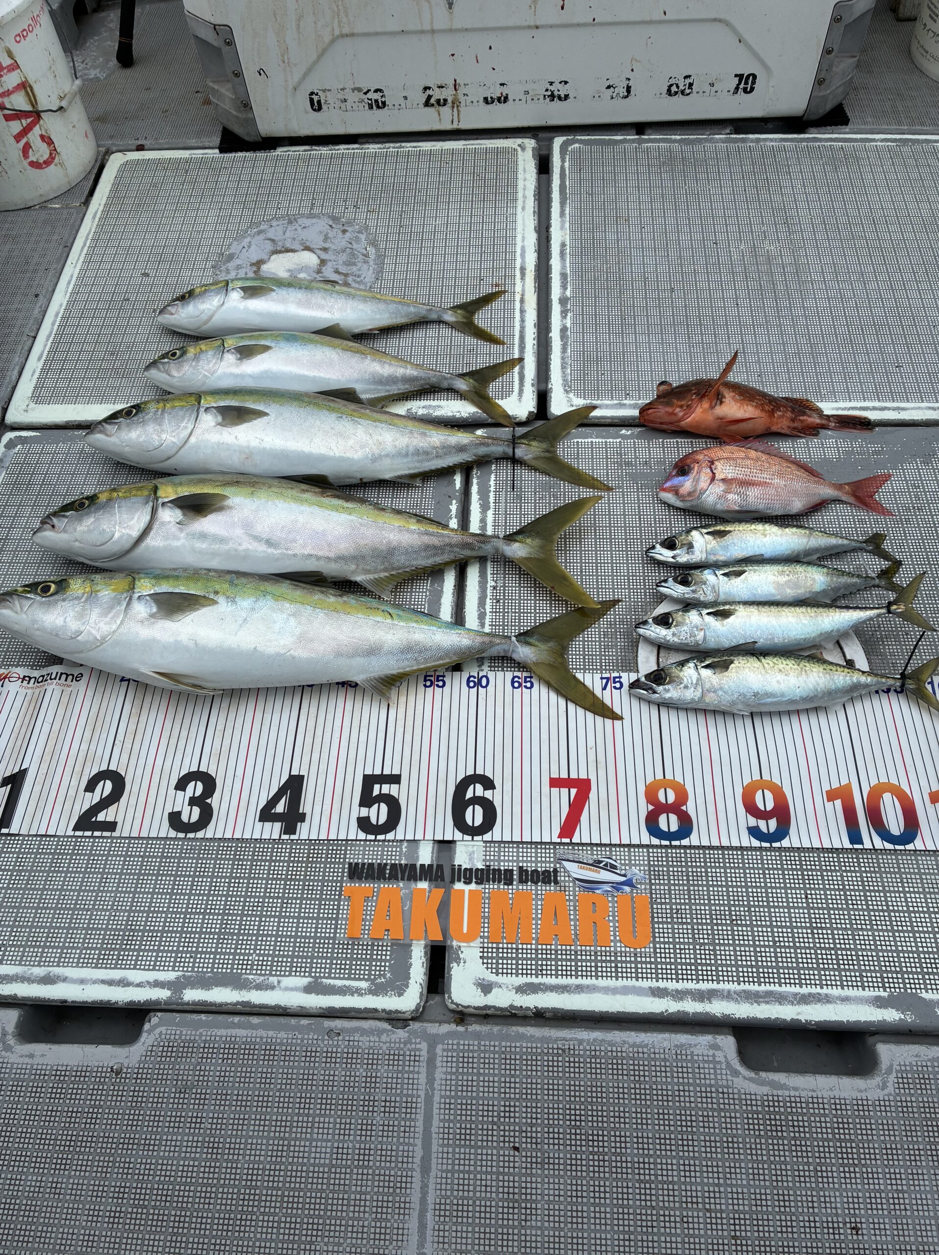 疲労困憊の水曜日