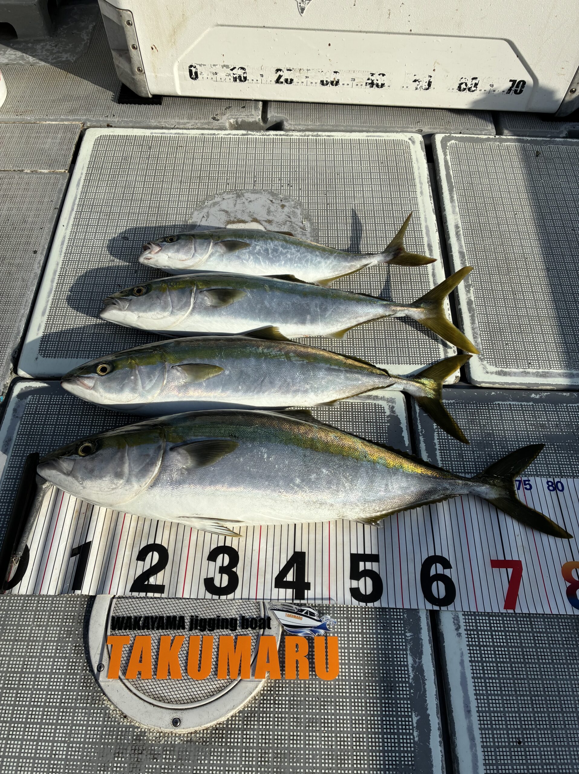 リフレッシュした土曜日