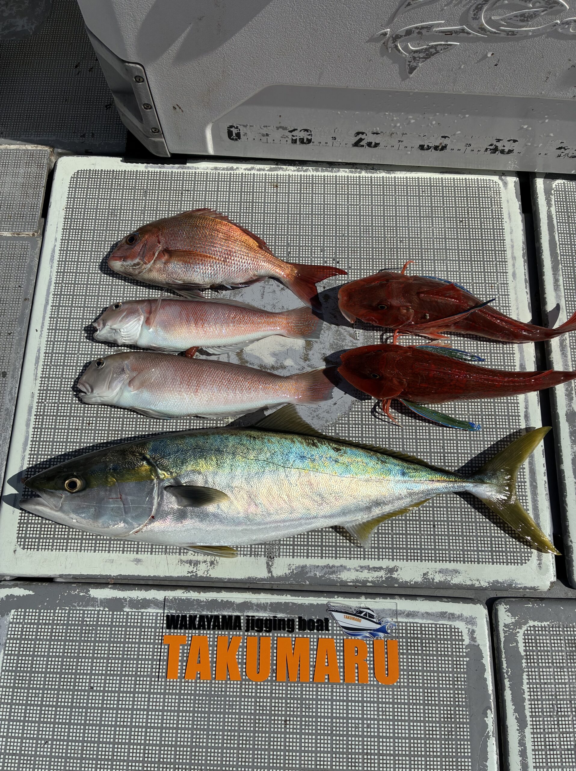 始まりの月曜日