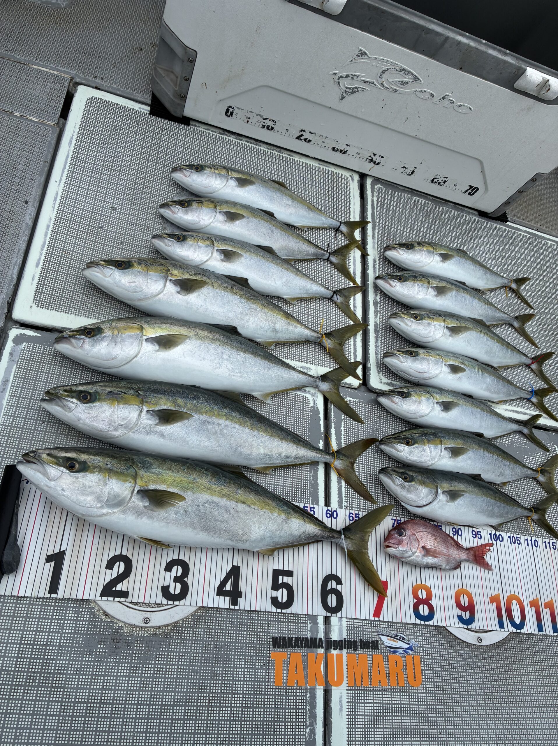 連休前の火曜日