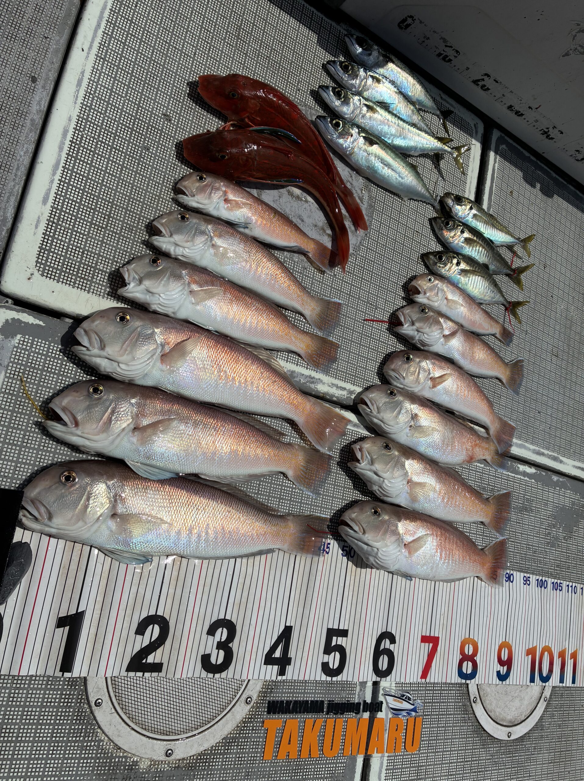 5月12日 若潮