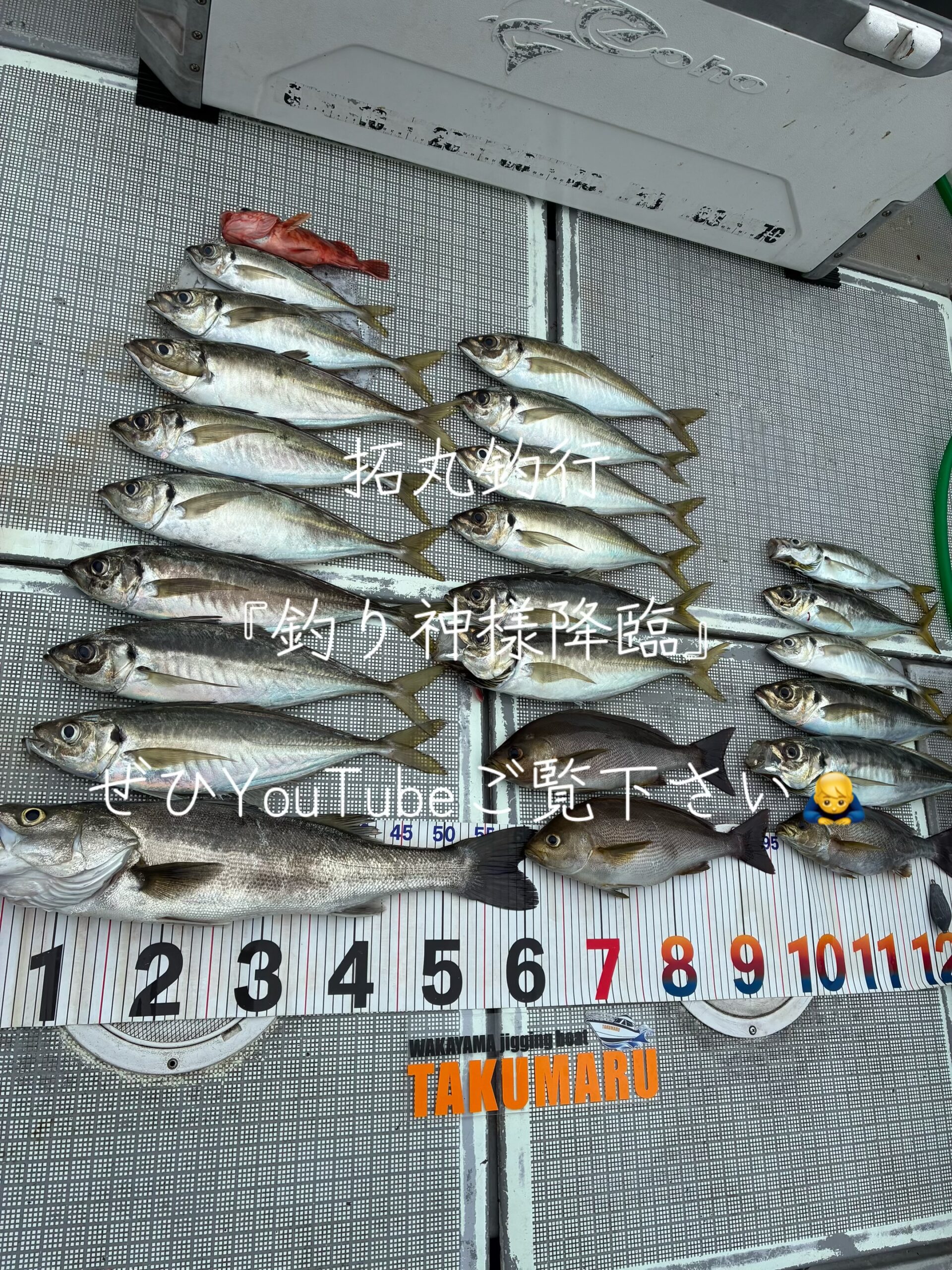 6月17日 中潮