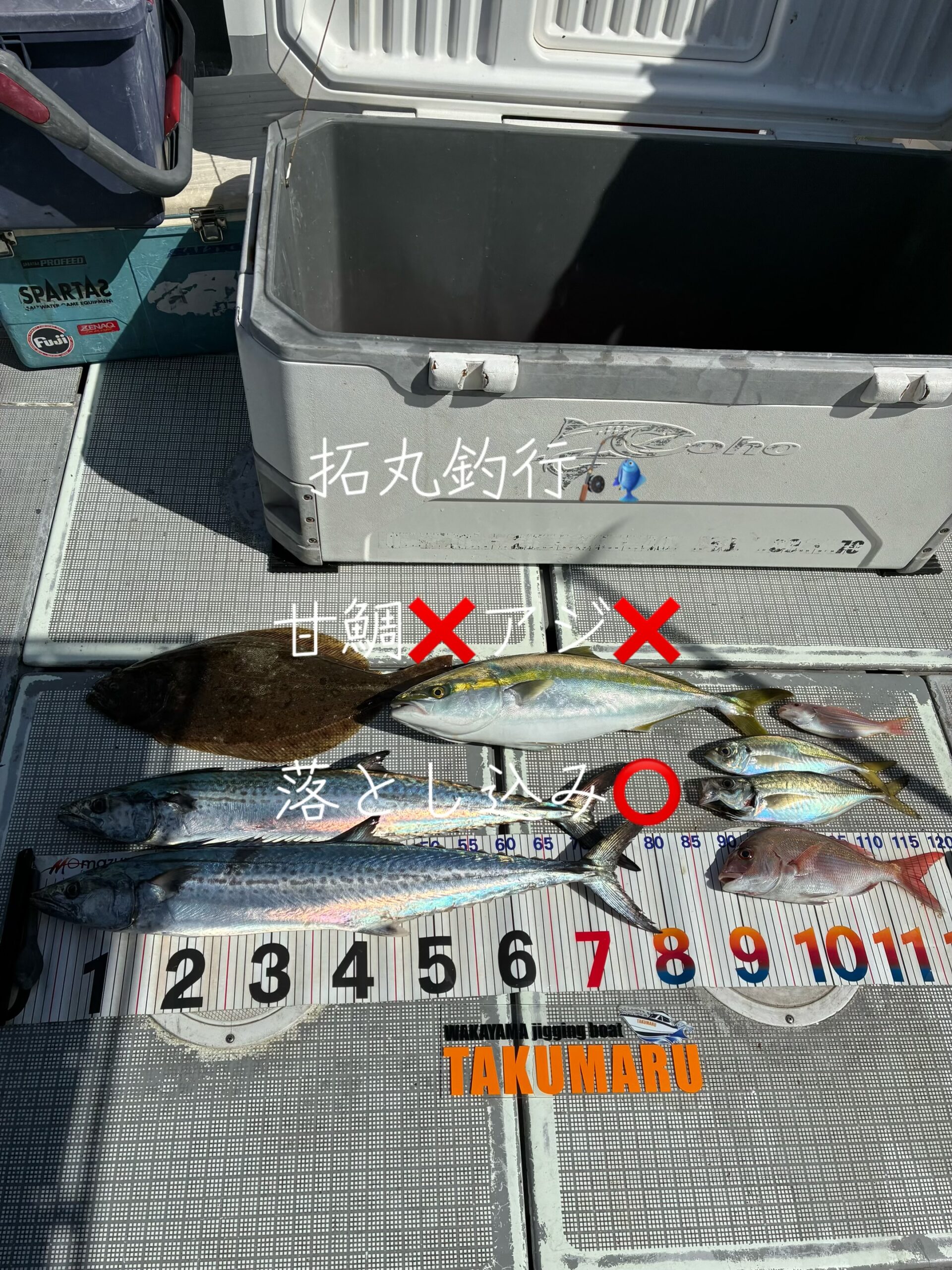 7月14日 大潮