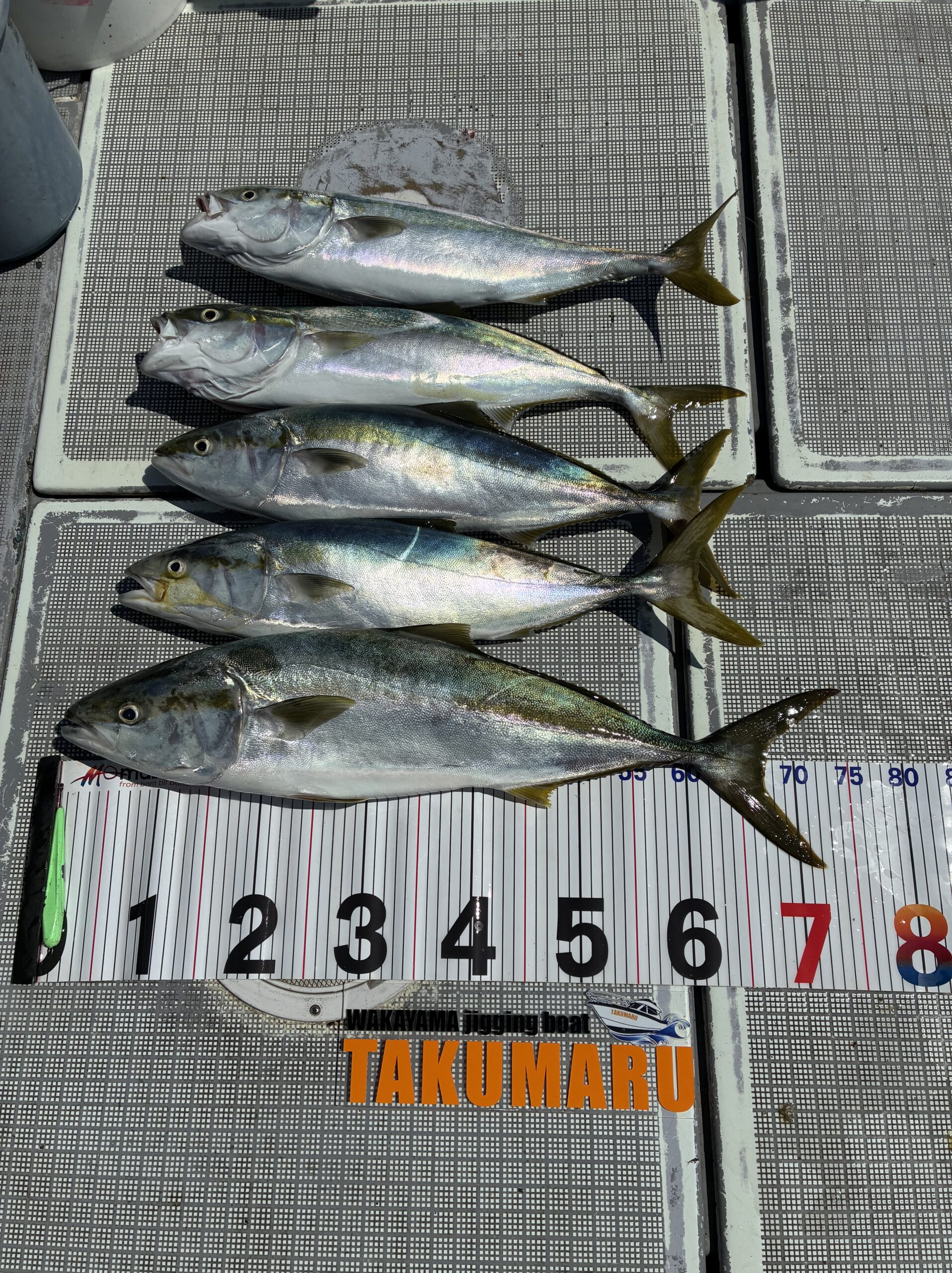 8月22日 長潮