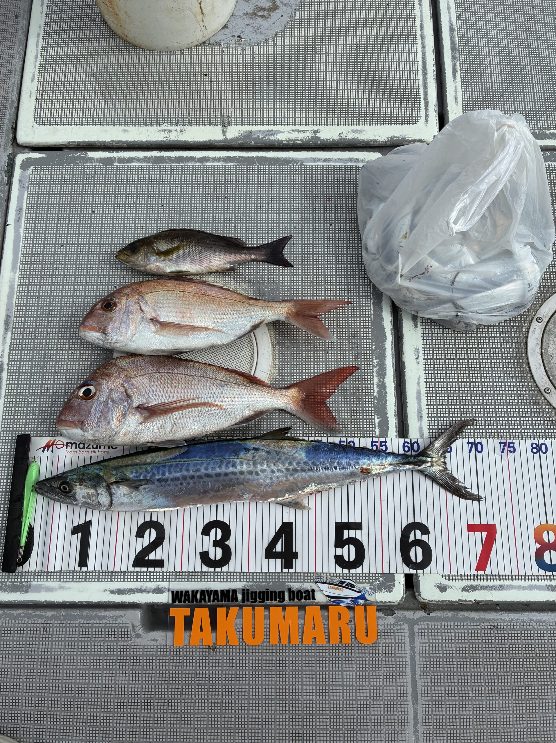 8月28日 大潮
