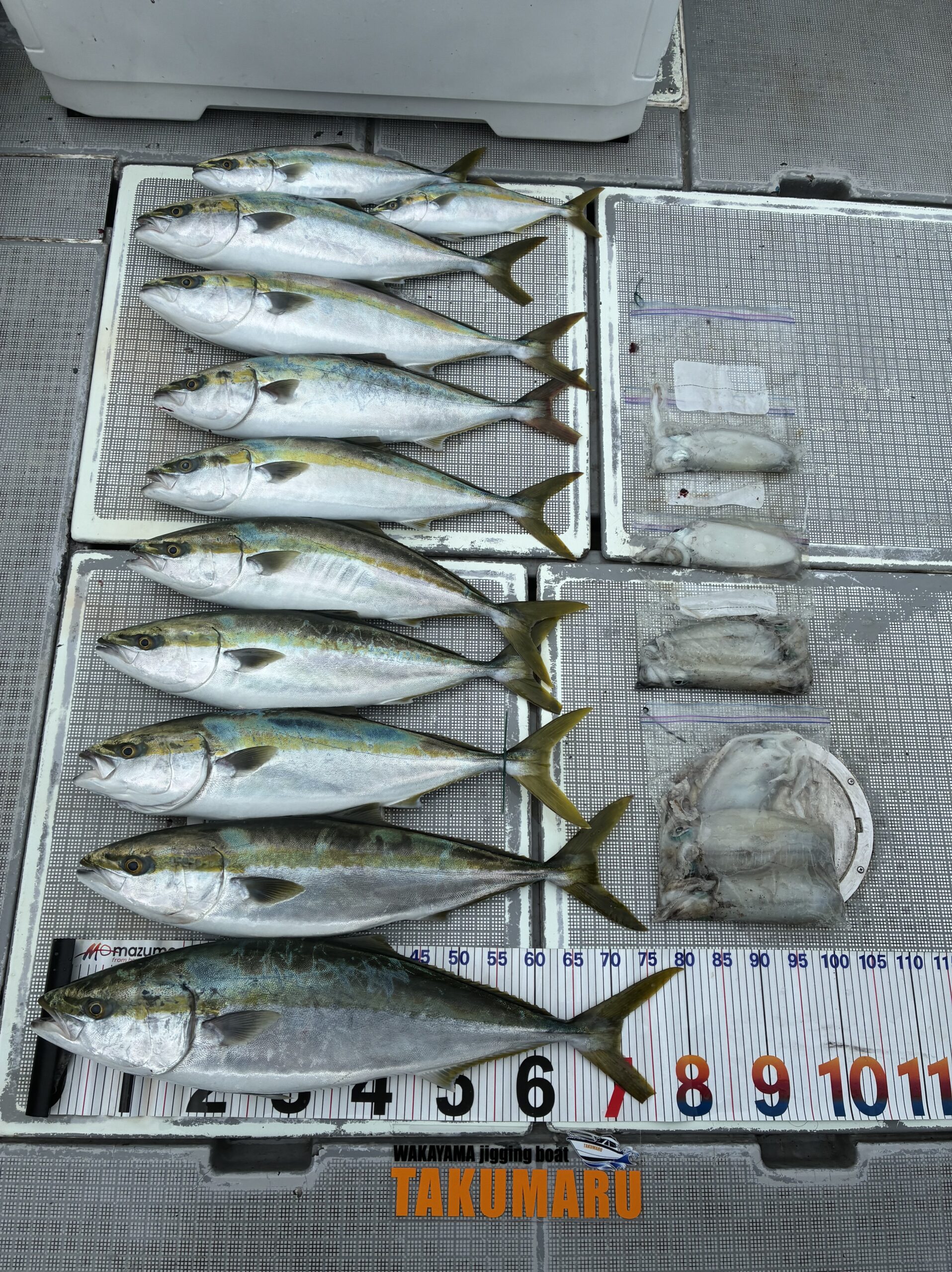 10月4日 昼便🎣